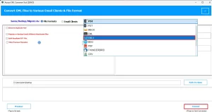  Choose the EMLX format